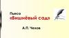 Пьеса «Вишнёвый сад» А.П. Чехова