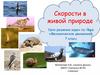 Скорости в живой природе. Механическое движение. 7 класс