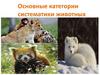 Основные категории систематики животных