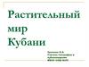 Растительный мир Кубани. Растительный покров равнин