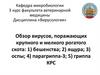 Обзор вирусов, поражающих крупного и мелкого рогатого скота