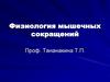 Физиология мышечного сокращения