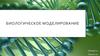 Биологическое моделирование