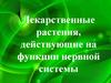 Лекарственные растения, действующие на функции нервной системы