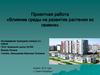 Влияние среды на развитие растения из семени