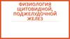 Физиология щитовидной, поджелудочной желез