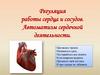Регуляция работы сердца и сосудов. Автоматизм сердечной деятельности