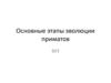 Основные этапы эволюции приматов