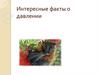 Интересные факты о давлении