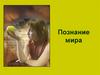 Познание мира