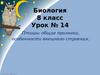 Птицы: общие признаки, особенности внешнего строения