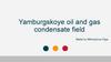 Yamburgskoye oil and gas condensate field