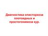Диагностика описторхоза плотоядных и простогонимоза кур