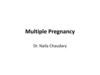 Multiple Pregnancy