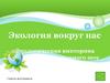 Экология вокруг нас. Экологическая викторина (по типу телевизионного шоу «Своя игра»)