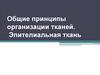 Общие принципы организации тканей. Эпителиальная ткань