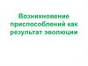 Возникновение приспособлений как результат эволюции
