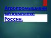 Агропромышленный комплекс России