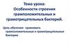 Особенности строения грамположительных и грамотрицательных бактерий