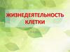 Жизнедеятельность клетки  (5 класс)