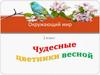 Чудесные цветники весной. Окружающий мир. 2 класс