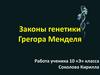 Законы генетики Грегора Менделя