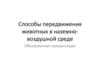 Способы передвижения животных в наземно - воздушной среде