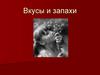 Вкусы и запахи