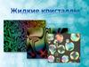 Жидкие кристаллы