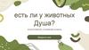 Есть ли у животных душа