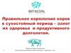 Правильное кормление коров в сухостойный период - залог их здоровья и продуктивного долголетия