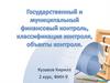 Государственный и муниципальный финансовый контроль
