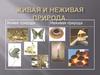 Живая и неживая природа