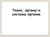 Ткани, органы и системы органов