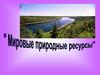 Мировые природные ресурсы
