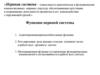 Функции нервной системы. Адаптационная (приспособительная) функция