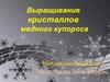 Выращивание кристаллов медного купороса