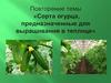 Сорта огурца, предназначенные для выращивания в теплице