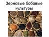 Зерновые бобовые культуры