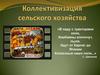 Коллективизация сельского хозяйства
