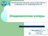 Эпидемиология холеры