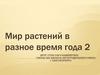 Мир растений в разное время года