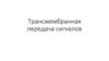 Трансмембранная передача сигналов