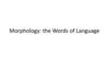 Morphology: the Words of Language