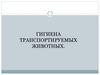 Гигиена транспортируемых животных