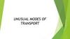 Unusual modes of transport