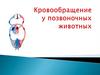 Кровообращение у позвоночных животных