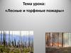 Лесные и торфяные пожары