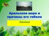 Аральское море и причины его гибели