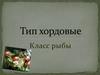 Тип хордовые. Класс рыбы